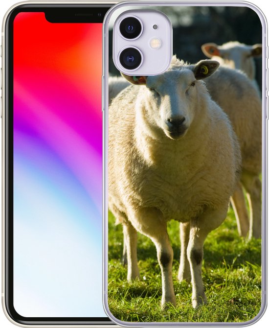 Telefoonhoesje Geschikt voor iPhone 11 hoesje - Schapen - Dieren - Wol - Siliconen Telefoonhoesje Telefoonhoesje