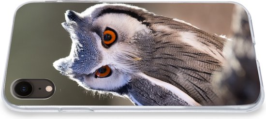 Coque iPhone XR - Hibou - Macro - Animal - Siliconen