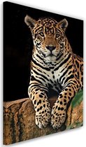 Trend24 - Canvas Schilderij - Rustende Leopard - Schilderijen - Dieren - 70x100x2 cm - Bruin