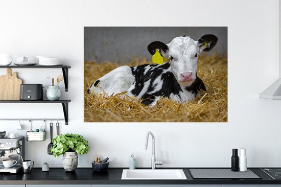 Sticker Muursticker Vache frisonne - Veau mignon de vache frisonne mensonges instro - 120x80 cm - film adhésif autocollant - sticker mural repositionnable