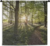 Wandkleed - Wanddoek - Bos - Boom - Zon - 60x60 cm - Wandtapijt