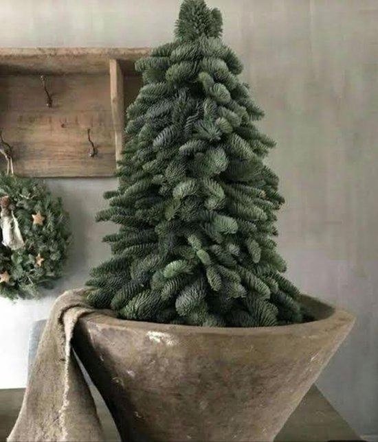 Echte Kerstboom Nobilis - 50 cm - Handgemaakt - Vers - Kerst Decoratie - Kerstversiering