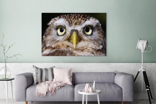 Tableau sur toile Gros plan d'un hibou marron - 120x80 cm - Décoration murale