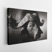 Portret van een Afrikaanse buffel (Syncerus caffer) - Kruger National Park (Zuid-Afrika) - Modern Art Canvas - Horizontaal - 234113782 - 50*40 Horizontal