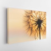 Canvas schilderij - Dandelion close-up silhouette against sunset sky, meditative zen background -     285123059 - 80*60 Horizontal