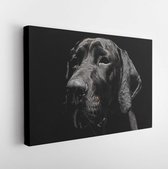Canvas schilderij - Mixed breed black dog portrait in black background -     289253819 - 40*30 Horizontal