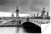 Poster Pont Alexandre-III brug in Parijs - zwart wit - 30x20 cm