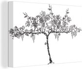 Une illustration d'un buisson de vin avec des vignes sur toile 30x20 cm - petit - Tirage photo sur toile (Décoration murale salon / chambre)