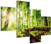 Schilderij - Zonnestralen in het bos, 4 luik, premium print, wanddecoratie