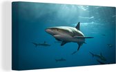 Canvas schilderij 160x80 cm - Wanddecoratie Groep haaien - Muurdecoratie woonkamer - Slaapkamer decoratie - Kamer accessoires - Schilderijen