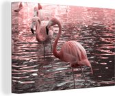 Canvas Schilderij Een groep flamingo's staat in het water - 30x20 cm - Wanddecoratie