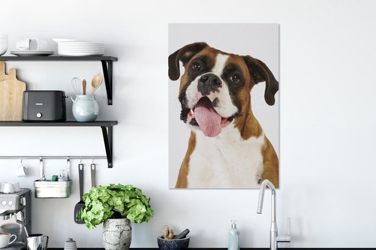 Boxer avec langue sur toile 60x90 cm - Tirage photo sur toile (Décoration murale salon / chambre) / Peintures sur toile pour Animaux domestiques