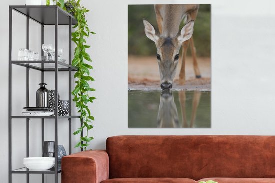 Toile de cerf à boire 80x120 cm - Tirage photo sur toile (Décoration murale salon / chambre) / Peintures sur toile Animaux
