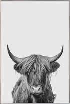 JUNIQE - Poster met kunststof lijst Highland Cow Classic -30x45 /Wit &