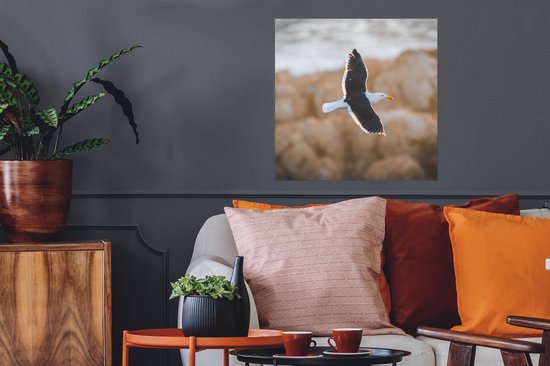 Affiche Mouette - Vogel - Ciel - 50x50 cm