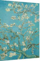 Amandelbloesem, Vincent van Gogh - Foto op Dibond - 60 x 80 cm
