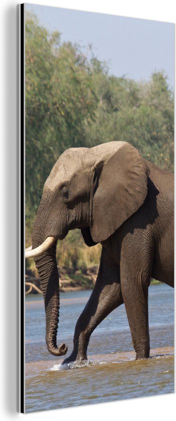 Wanddecoratie Metaal - Aluminium Schilderij Industrieel - Een olifant steekt de Zambezi rivier over in het Nationaal park Lower Zambezi - 20x40 cm - Dibond - Foto op aluminium - Industriële muurdecoratie - Voor de woonkamer/slaapkamer