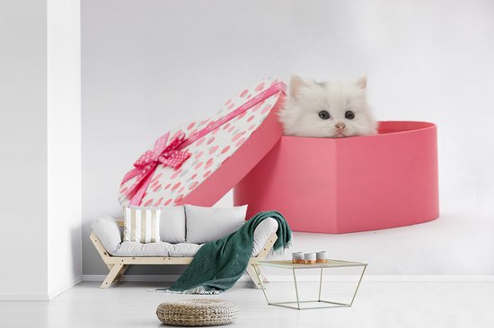 Papier peint photo vinyle - Un gros plan d'un chaton d'un présent largeur 450 cm x hauteur 300 cm - Tirage photo sur papier peint (disponible en 7 tailles)