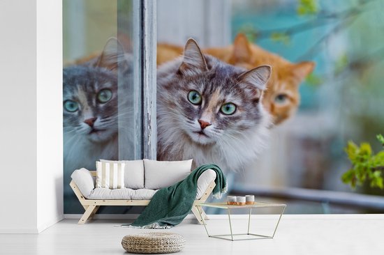 Papier peint - Papier peint Papier peint photo Chat - Fenêtre - Chats - Largeur 330 cm x hauteur 220 cm