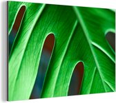 Wanddecoratie Metaal - Aluminium Schilderij Industrieel - Levendig botanisch blad - 180x120 cm - Dibond - Foto op aluminium - Industriële muurdecoratie - Voor de woonkamer/slaapkamer