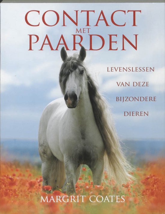 Foto: Contact met paarden