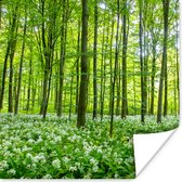 Affiche Forêt - Arbres - Vert - 50x50 cm