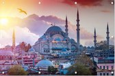 Stadsgezicht van Istanbul met de Süleymaniye Moskee - Foto op Tuinposter - 60 x 40 cm