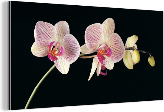 Décoration Murale Métal Peinture Aluminium Industrielle Orchidée Fleurs Zwart 