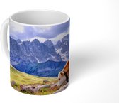 Mok - Koe - Stenen - Berg - 350 ML - Beker