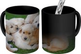 Magische Mok - Foto op Warmte Mokken - Koffiemok - Dieren - Puppy's - Honden - Magic Mok - Beker - 350 ML - Theemok