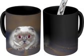 Magische Mok - Foto op Warmte Mokken - Koffiemok - Kitten - Kat - Ogen - Magic Mok - Beker - 350 ML - Theemok
