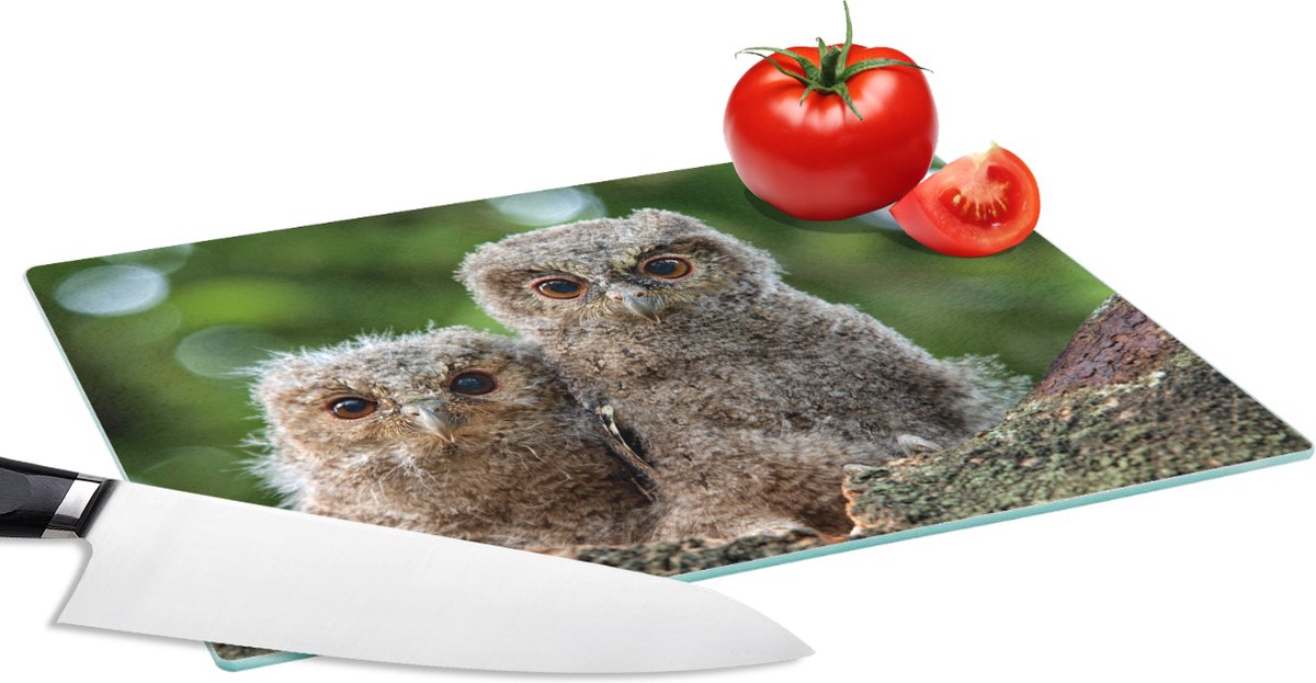 Glazen Snijplank - 28x20 - Uil - Kuikens - Tak - Snijplanken Glas