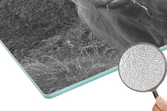 Planche à découper en Verres - Glas - Une vache Highlander écossaise en train de manger - noir et blanc - Planches à découper