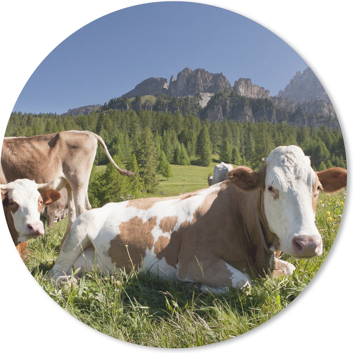 Muismat rond 30x30 cm - Mousepad Koeien - Gras - Zwitserland - Ronde muismatten