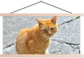 Porte-affiche avec affiche - Affiche scolaire - Chat - Rouge - Rue - Filles - Enfants - Garçons - Enfant - 150x75 cm - Lattes vierges