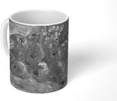 Mok - Kweeperen, citroenen, peren en druiven in zwart wit - Vincent van Gogh - Zwart - Wit - 350 ML - Beker
