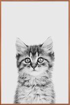 JUNIQE - Poster met kunststof lijst Kitten Classic -13x18 /Wit & Zwart