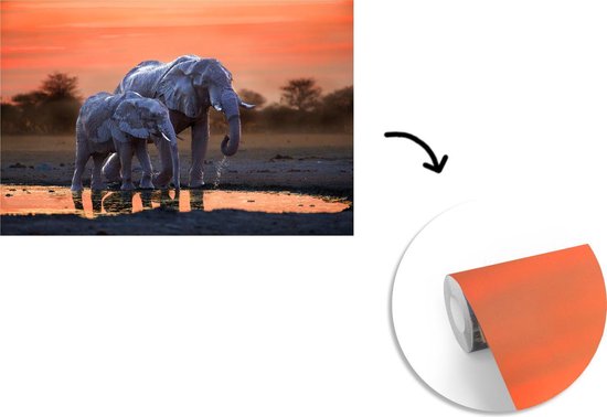 Behang - Fotobehang Twee olifanten bij zonsondergang - Breedte 330 cm x hoogte 220 cm