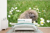 Papier peint photo peint photo vinyle - Hérisson endormi largeur 350 cm x hauteur 260 cm - Tirage photo sur papier peint (disponible en 7 tailles)