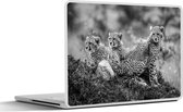 Laptop sticker - 14 inch - Close-up luipaarden tegen vervaagde achtergrond - zwart wit - 32x5x23x5cm - Laptopstickers - Laptop skin - Cover