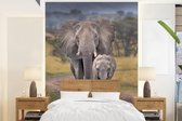 Eléphant mère et son petit sur une route dans le cratère du Ngorongoro papier peint photo vinyle largeur 195 cm x hauteur 260 cm - Tirage photo sur papier peint (disponible en 7 tailles)