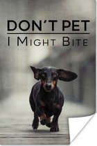 Affiche - Citation de Chiens 'Ne pas caresser, je pourrais mordre' et un fond avec un teckel qui court - 60x90 cm