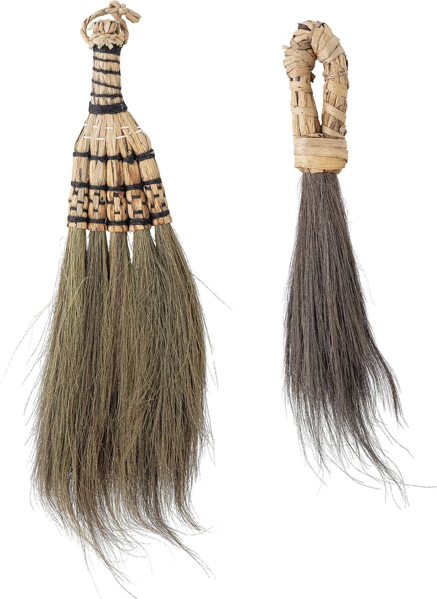 Hevan bezem natuur zeegras