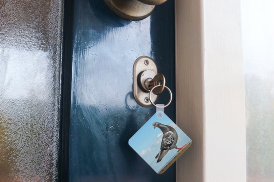 Porte-clés Duif - Une colombe grise devant un ciel bleu Porte-clés plastique - Porte-clés carré avec photo