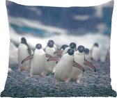 Sierkussen - Adelie Pinguïns Op Het Strand - Blauw - 45 Cm X 45 Cm