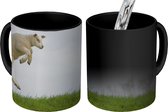 Magische Mok - Foto op Warmte Mokken - Koffiemok - Schaap - Gras - Lente - Magic Mok - Beker - 350 ML - Theemok