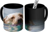 Magische Mok - Foto op Warmte Mok - Puppy zwemt in het water - 350 ML