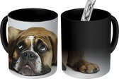 Magische Mok - Foto op Warmte Mokken - Koffiemok - Hond - Huisdieren - Wit - Magic Mok - Beker - 350 ML - Theemok
