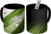 Magische Mok - Foto op Warmte Mok - Een close up van grassprieten met vroege dauw - 350 ML