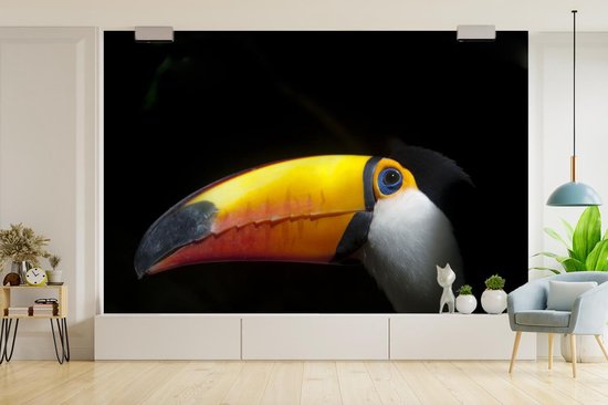 Papier peint Papier peint photo en vinyle - Toucan géant sur fond noir largeur 360 cm x hauteur 240 cm - Tirage photo sur papier peint (disponible en 7 tailles)